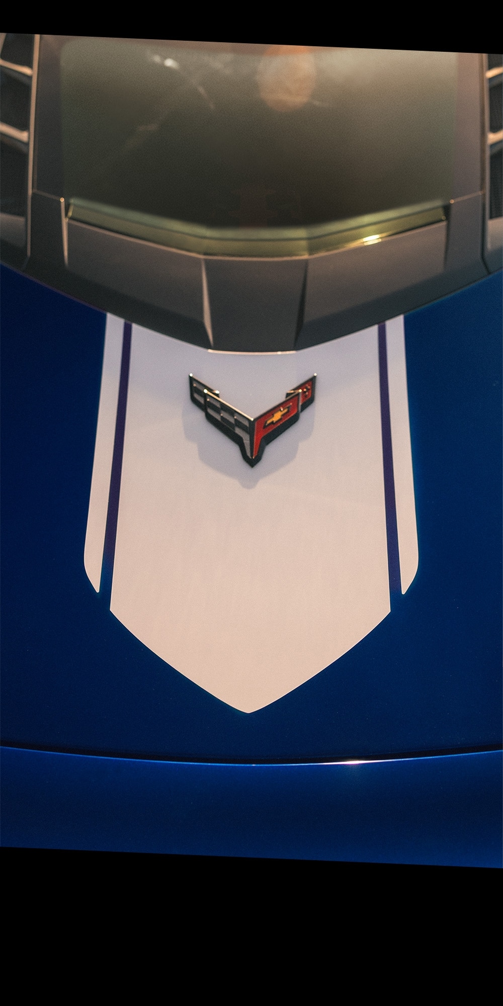 fpo